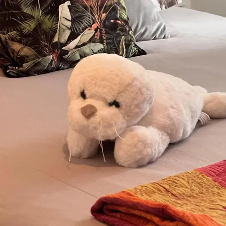 Touquettoise A 2 Pas De La - Hyper Centre Apartment Le Touquet