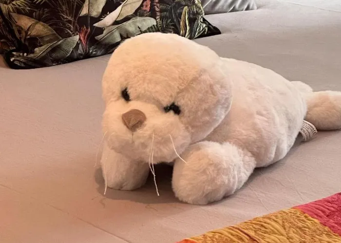 Touquettoise à 2 Pas De La - Hyper Centre Appartement Le Touquet-Paris-Plage