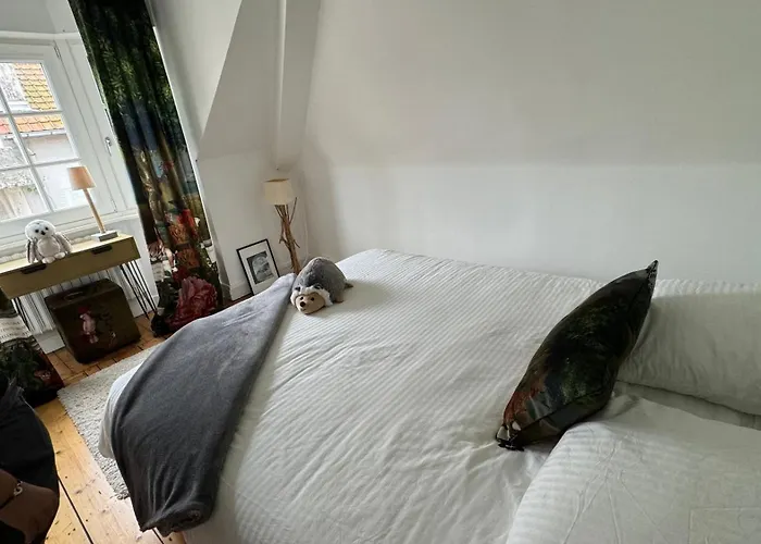 Touquettoise à 2 Pas De La - Hyper Centre Appartement